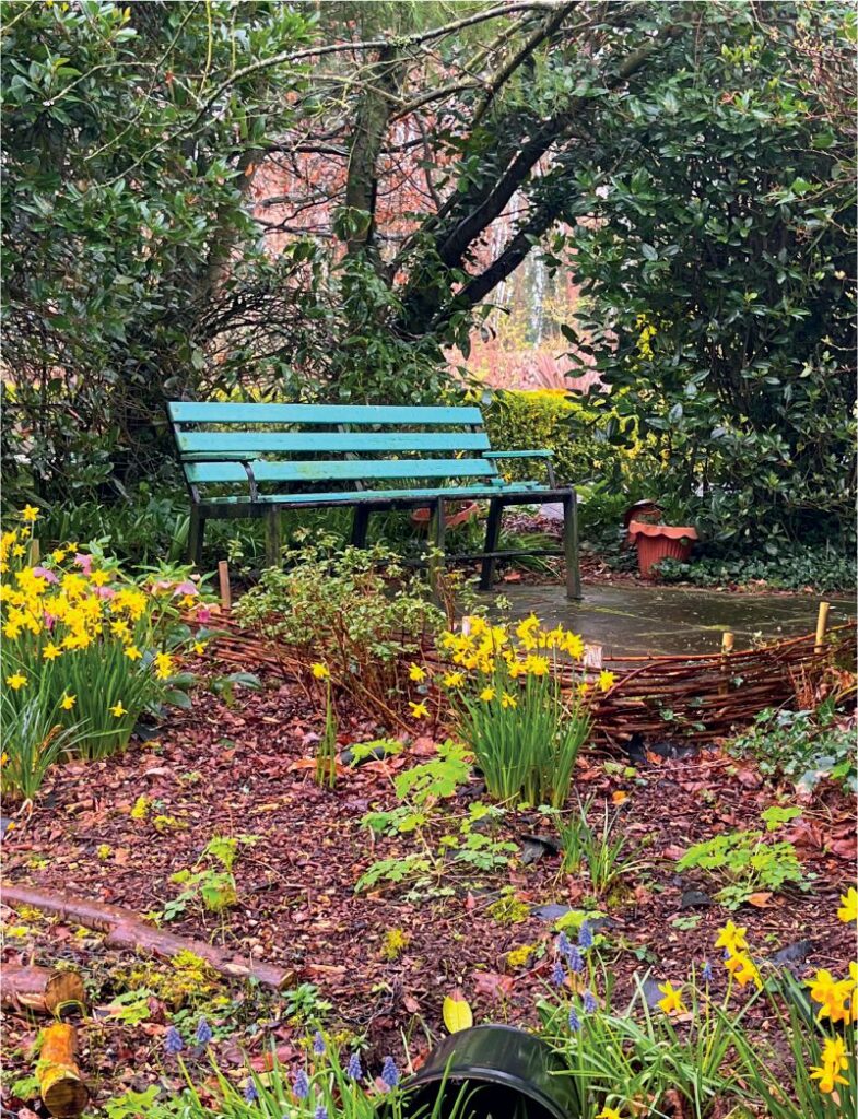 photo of the butterfly garden feature at carriglea outdoor walking trails