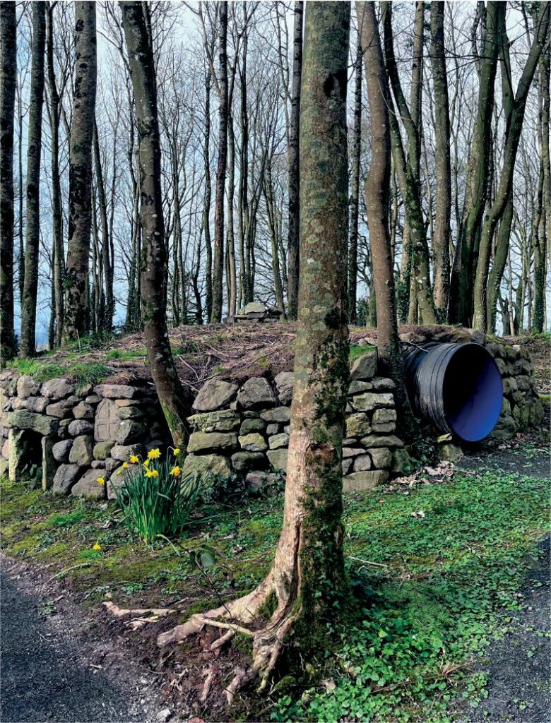 photo of the fairy mound feature at carriglea outdoor walking trails