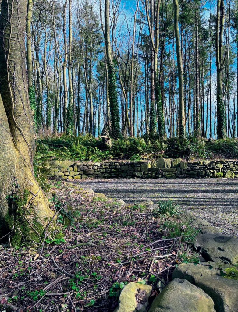 photo of the sunken garden feature at carriglea outdoor walking trails