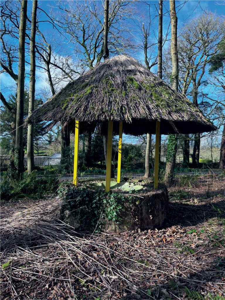 photo of the wishing well feature at carriglea outdoor walking trails